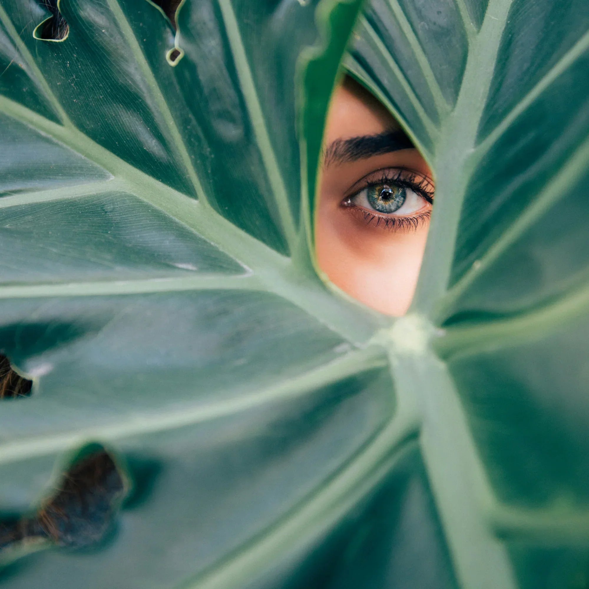 Beautify: The Earthing Facelift