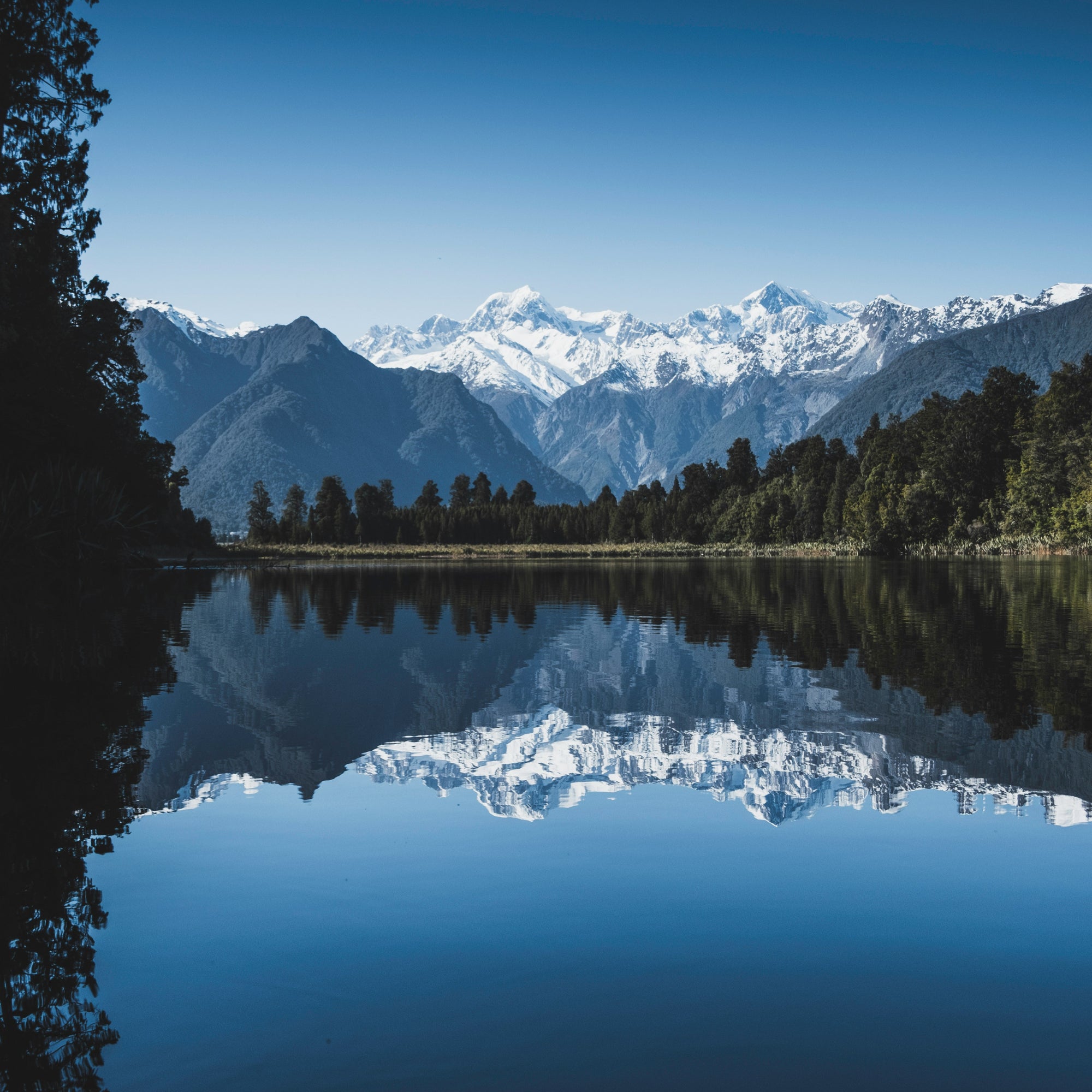 A scenic landscape photograph of snow-capped Southern Alps mountain range reflected in a calm blue lake, with dark native New Zealand trees lining the shore and a clear blue sky above.