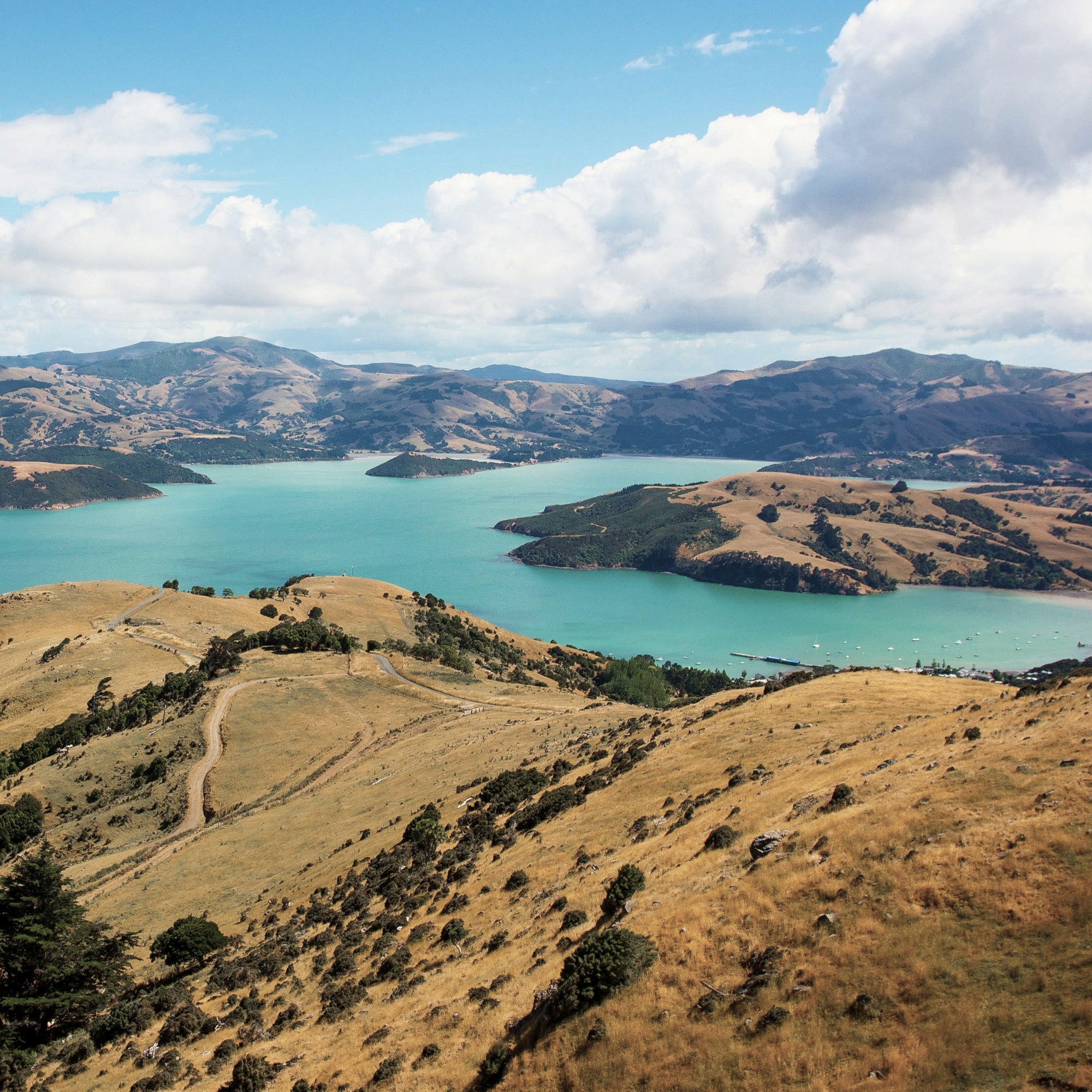 An inland New Zealand harbour surrounded by grassy hills and native bush.