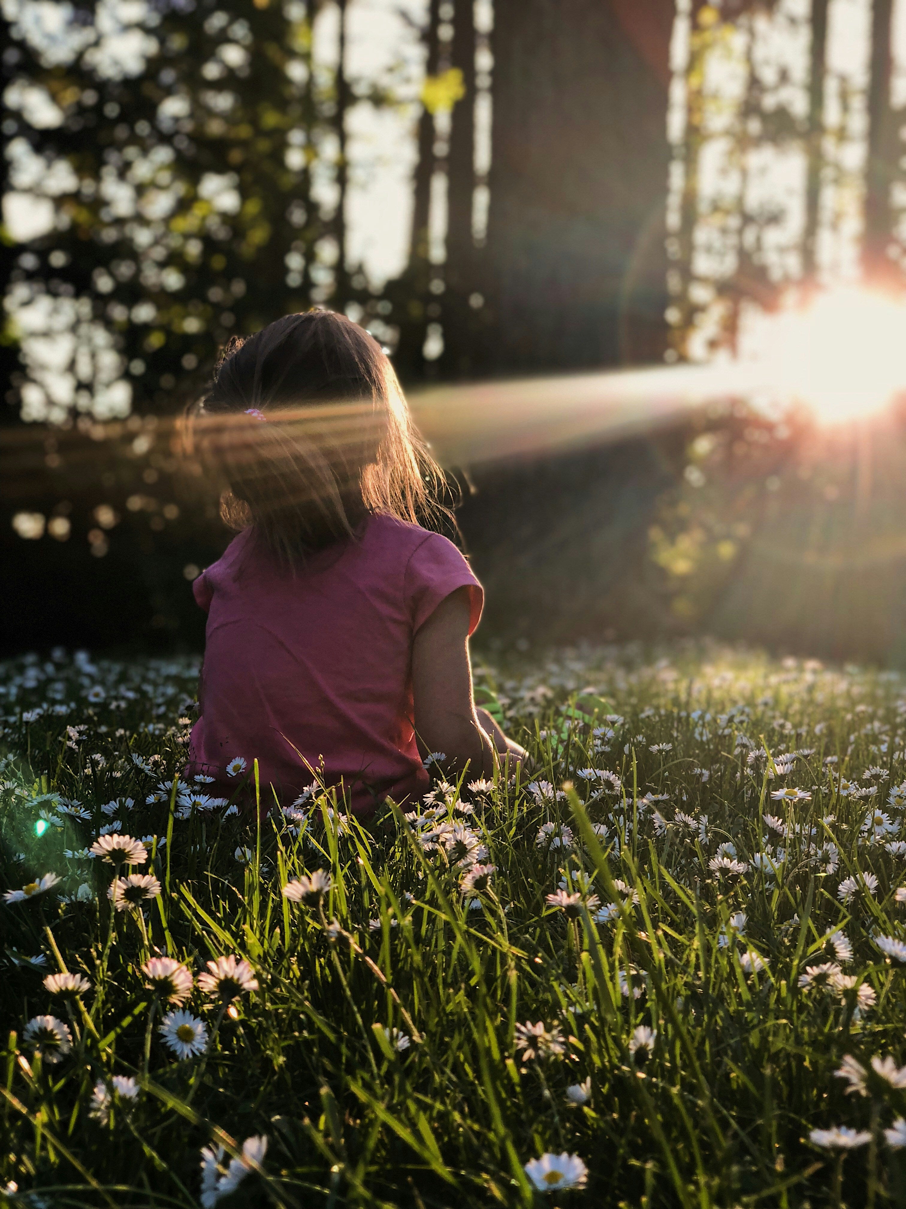 A little girl sits in a meadow of daisy flowers, gazing off into the setting sun streaming through the trees of a forest.